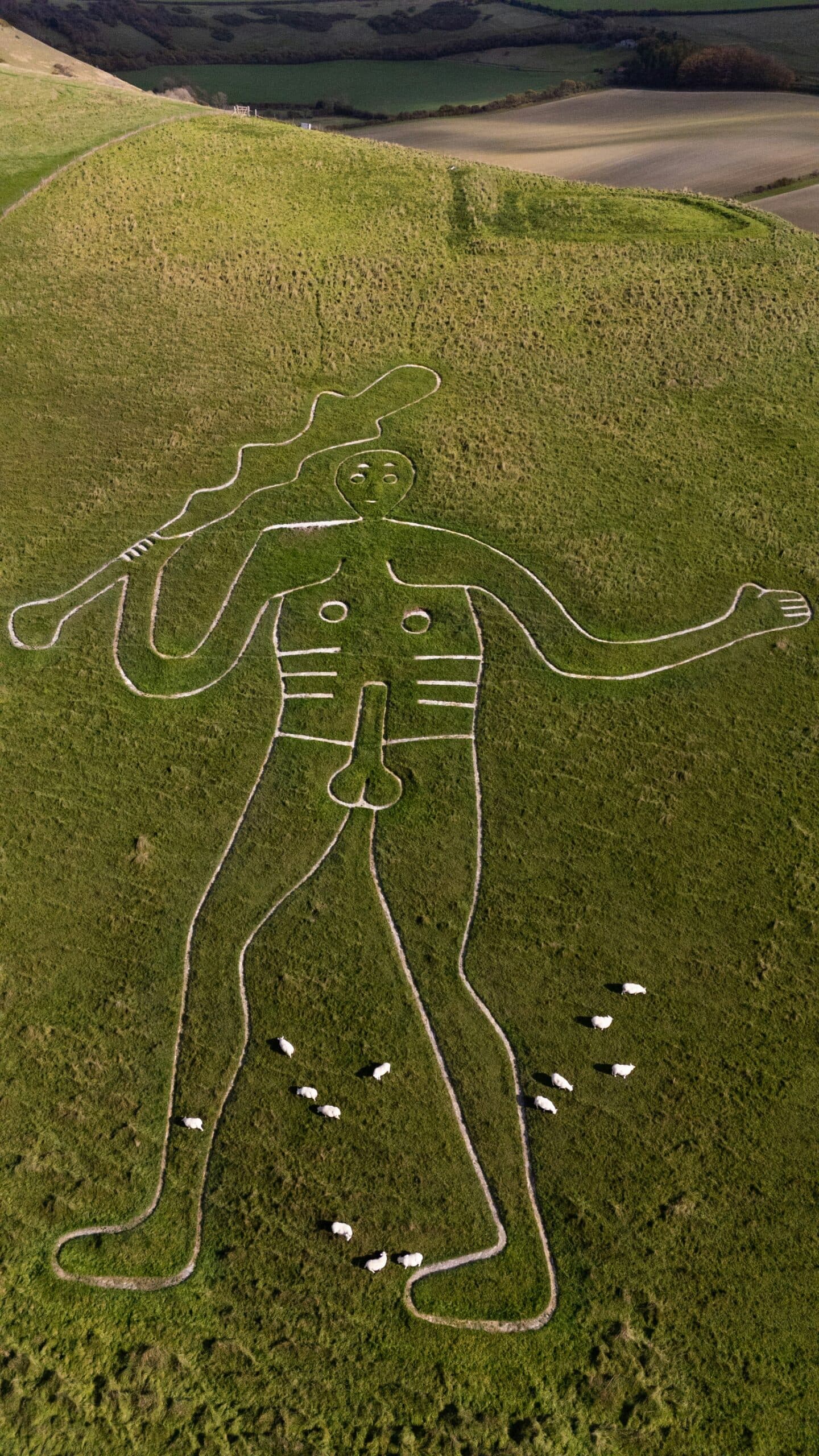The Cerne Abbas Giant chalk hill figure above Cerne Abbas